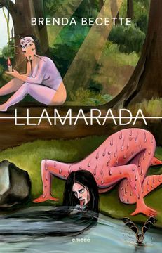 portada LLamarada (in Spanish)