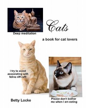 portada cats (in English)
