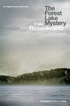 portada The Forest Lake Mystery (en Inglés)