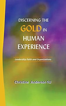 portada Discerning the Gold in Human Experience: Leadership Faith and Organizations (en Inglés)