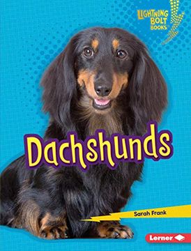 portada Dachshunds (Lightning Bolt Books: Who'S a Good Dog? ) 