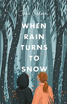 portada When Rain Turns to Snow (in English)