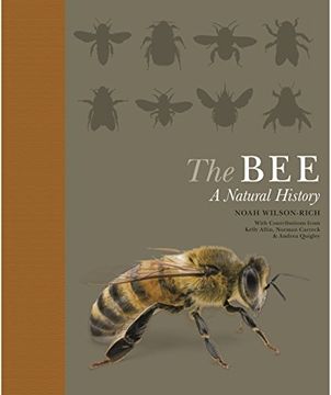 portada The Bee: A Natural History (en Inglés)