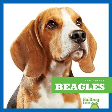portada Beagles (Bullfrog Books: Paw Prints) (en Inglés)