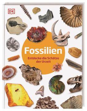 portada Fossilien (en Alemán)