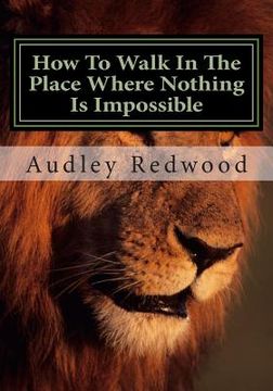 portada How to walk in the place where nothing is impossible