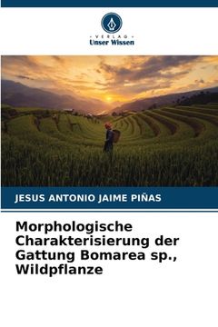 portada Morphologische Charakterisierung der Gattung Bomarea sp., Wildpflanze (en Alemán)