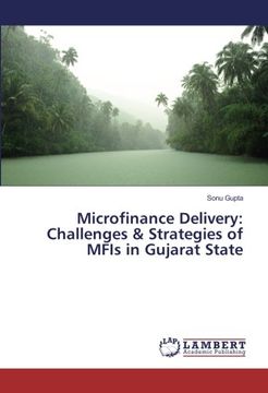 portada Microfinance Delivery: Challenges & Strategies of MFIs in Gujarat State