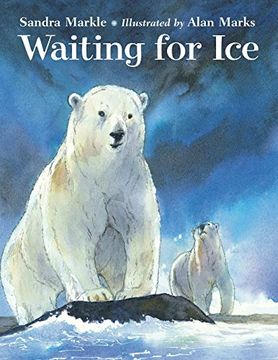 portada Waiting for ice (en Inglés)