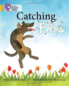 portada Catching Flies: Band 09/Gold (Collins Big Cat) (en Inglés)