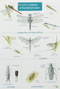 portada Guide to Insects of the British Isles (Chart)