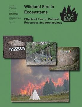 portada Wildland Fire in Ecosystems: Effects of Fire on Cultural Resources and Archaeology