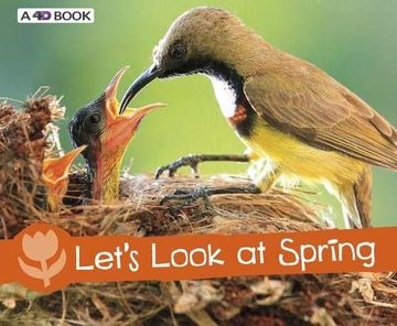 portada Let's Look at Spring (Pebble Plus: Investigate the Seasons) (en Inglés)