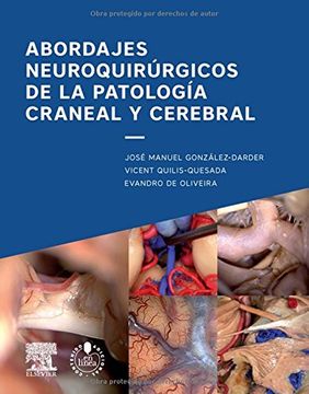 portada Abordajes Neuroquirúrgicos De La Patología Craneal Y Cerebral