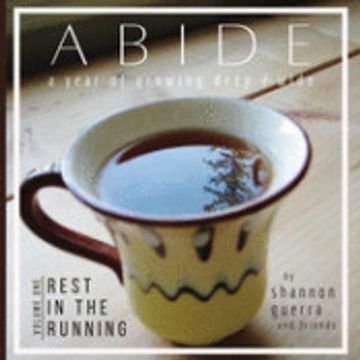 portada Rest in the Running: A Year of Growing Deep and Wide (1) (Abide) (en Inglés)
