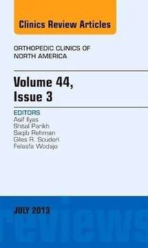 portada Volume 44, Issue 3, an Issue of Orthopedic Clinics: Volume 44-3 (in English)