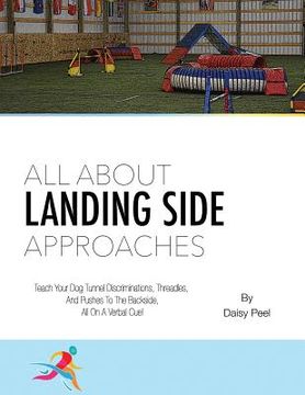 portada All About Landing Side Approaches (in English)