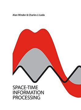 portada Space-Time Information Processing (en Inglés)