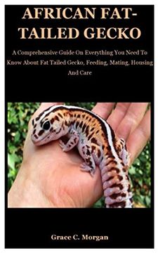 portada African Fat-Tailed Gecko: A Comprehensive Guide On Everything You Need To Know About Fat Tailed Gecko, Feeding, Mating, Housing And Care (en Inglés)