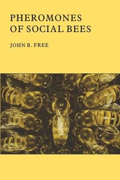 portada pheromones of social bees (en Inglés)