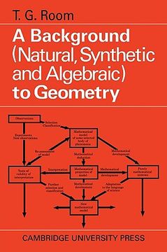 portada A Background to Geometry: Natural, Synthetic and Algebraic (in English)