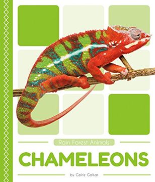 portada Chameleons (Rain Forest Animals) (en Inglés)