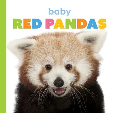 portada Baby red Pandas (Starting Out) (en Inglés)