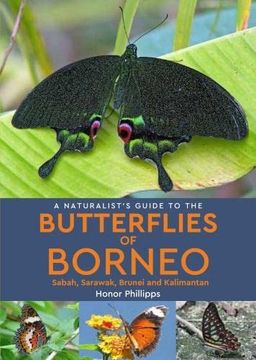 portada A Naturalist'S Guide to the Butterflies of Borneo (en Inglés)