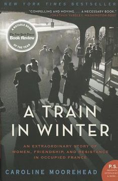 portada a train in winter (in English)
