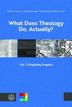 portada What Does Theology Do, Actually?: Vol. 2: Exegeting Exegesis (en Inglés)