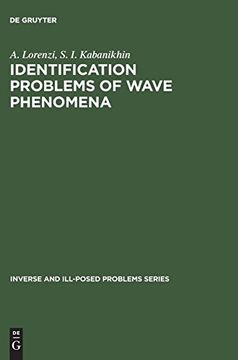portada Identification Problems of Wave Phenomena: Theory and Numerics (Inverse and Ill-Posed Problems) 