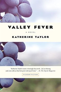 portada Valley Fever: A Novel (in English)