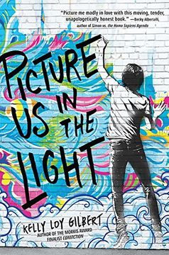 portada Picture us in the Light 