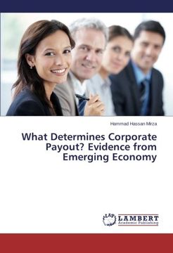 portada What Determines Corporate Payout? Evidence from Emerging Economy