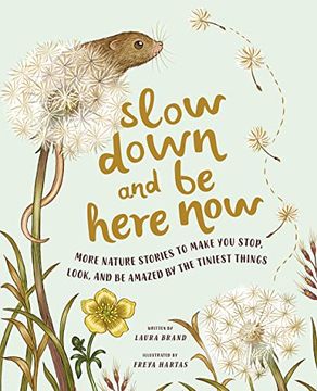 portada Slow Down and be Here Now: More Nature Stories to Make you Stop, Look, and be Amazed by the Tiniest Things (en Inglés)