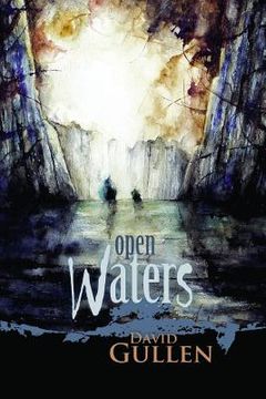 portada Open Waters (en Inglés)