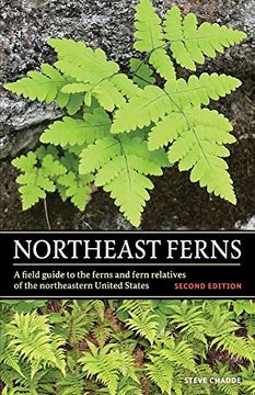portada Northeast Ferns (en Inglés)