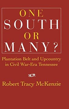 portada One South or Many? Plantation Belt and Upcountry in Civil War-Era Tennessee 