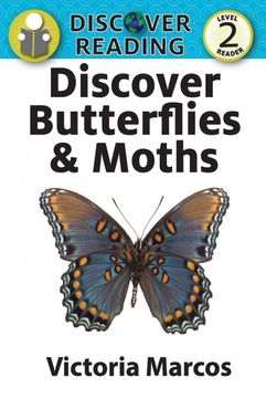portada Discover Butterflies & Moths (en Inglés)