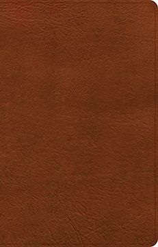 portada Csb Thinline Bible, Burnt Sienna Leathertouch, red Letter, Presentation Page, Full-Color Maps, Easy-To-Read Bible Serif Type