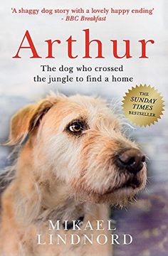 portada Arthur: The dog who crossed the jungle to find a home (en Inglés)