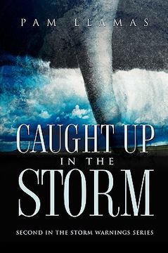 portada caught up in the storm (in English)