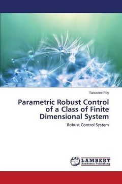 portada Parametric Robust Control of a Class of Finite Dimensional System