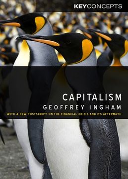 portada Capitalism: With a new Postscript on the Financial Crisis and its Aftermath (Key Concepts) (en Inglés)