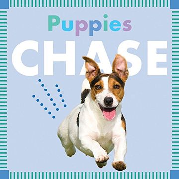 portada Puppies Chase (Amicus Ink Board Books)