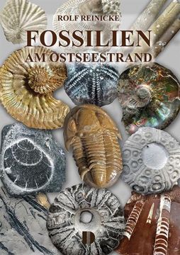 portada Fossilien am Ostseestrand (en Alemán)