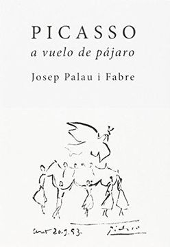 portada Picasso a Vuelo de Pájaro (in Spanish)