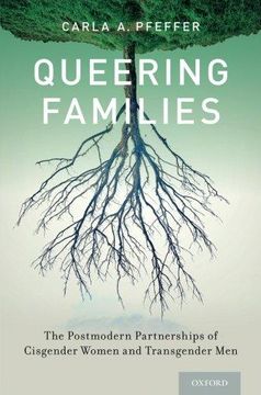 portada Queering Families: The Postmodern Partnerships of Cisgender Women and Transgender men (Sexuality, Identity, and Society) (in English)