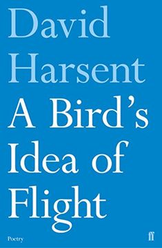 portada A Bird's Idea of Flight