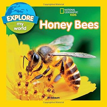 portada Explore my World: Honey Bees (en Inglés)